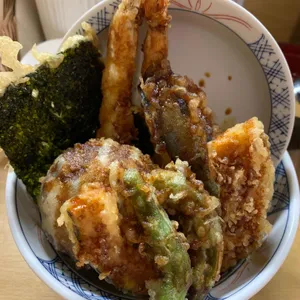 코카모메 사진