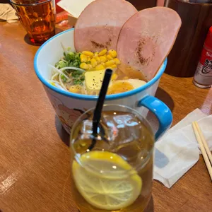 토리코 사진