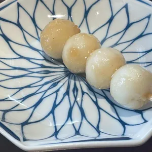 토리코 사진