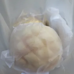 카멜리온 리뷰 사진