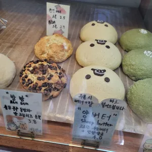 카멜리온 리뷰 사진