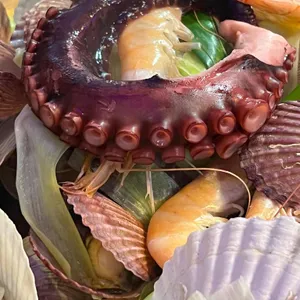 조개도둑 사진
