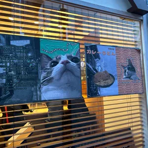 세이토우동 리뷰 사진