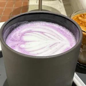 엔제리너스 사진