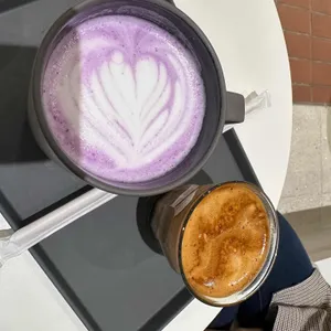엔제리너스 사진
