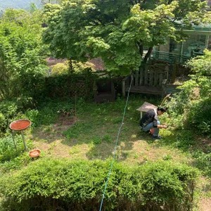 대패상회 리뷰 사진