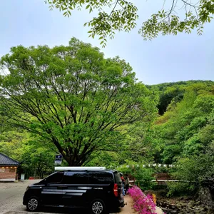 용현집 리뷰 사진