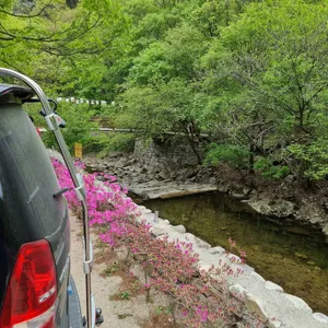 용현집 리뷰 사진