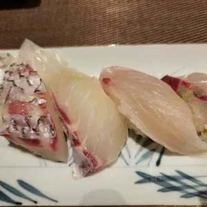 정참치 사진