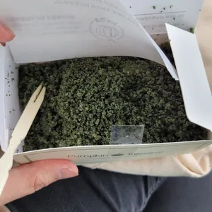 밭담호박 사진