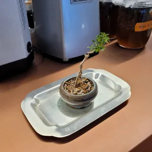 탕비실 사진