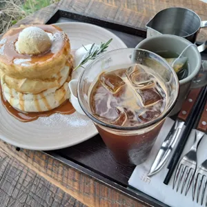볕 사진