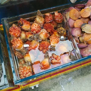 금성횟집 사진