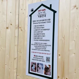 캣카페 집사의하루 리뷰 사진
