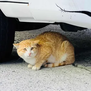 쪽빛 리뷰 사진