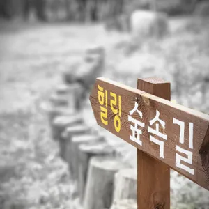 카페 사누스 리뷰 사진