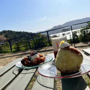 롤라 Lolla 리뷰 사진
