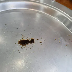 양촌리 청보리 한우 리뷰 사진