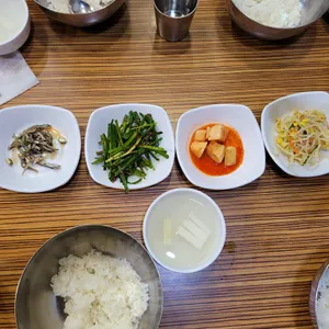 개미집 사진