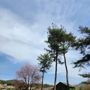 카페 사누스 리뷰 사진