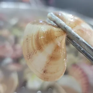 택이네 조개전골 사진