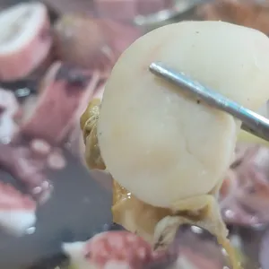 택이네 조개전골 사진