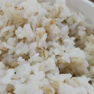 택이네 조개전골 리뷰 사진