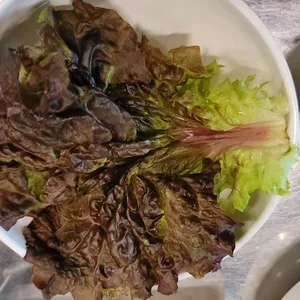 제주돈사돈 리뷰 사진
