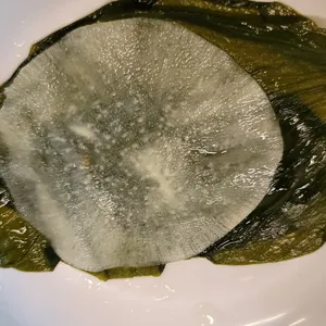제주돈사돈 리뷰 사진