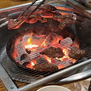 문화촌갈매기 사진