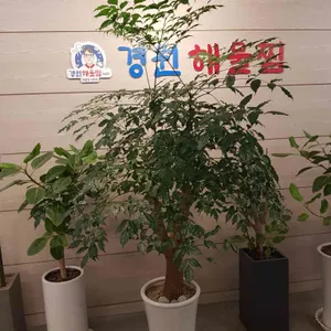 경원해물찜 리뷰 사진