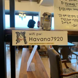 하바나 리뷰 사진