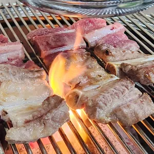 반갑다돼지야 사진