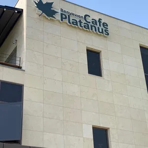 반야원 플라타너스 리뷰 사진