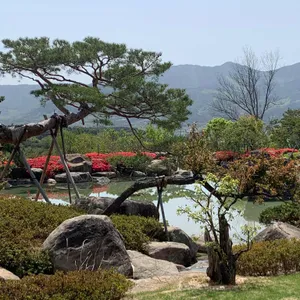 반야원 플라타너스 리뷰 사진