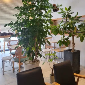 예일타운커피랩 리뷰 사진