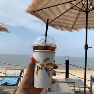 하이바다 사진