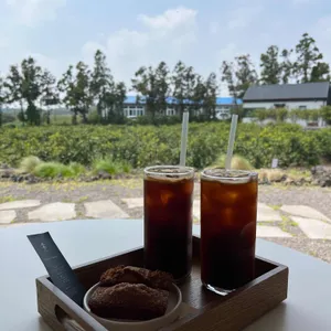 포레스트제이 카우셰드 사진