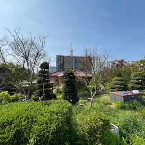 마크로스터스 리뷰 사진