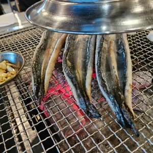 영산강민물장어 사진