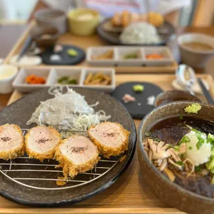 터틀리애 사진