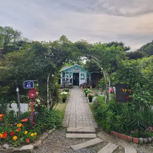 참 좋은 생각 리뷰 사진