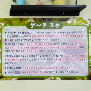 뽕가네 리뷰 사진