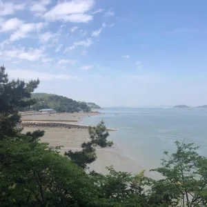 쭈꾸미짱 리뷰 사진