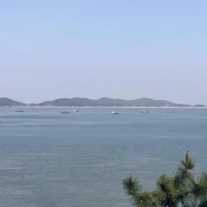 쭈꾸미짱 리뷰 사진