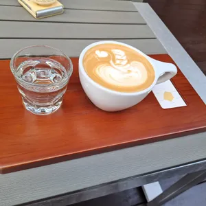 인텔리젠시아 사진