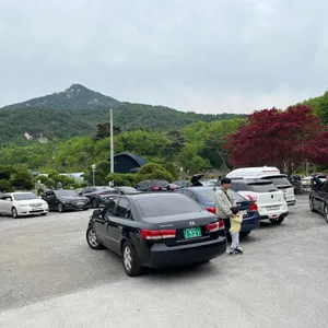 섬진강메기매운탕 리뷰 사진