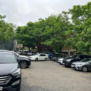 카페 웨더 리뷰 사진