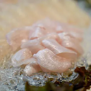 옛날마차 사진