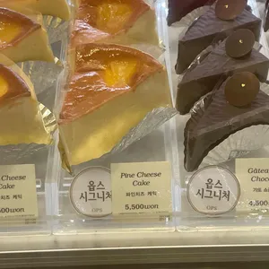 옵스 리뷰 사진